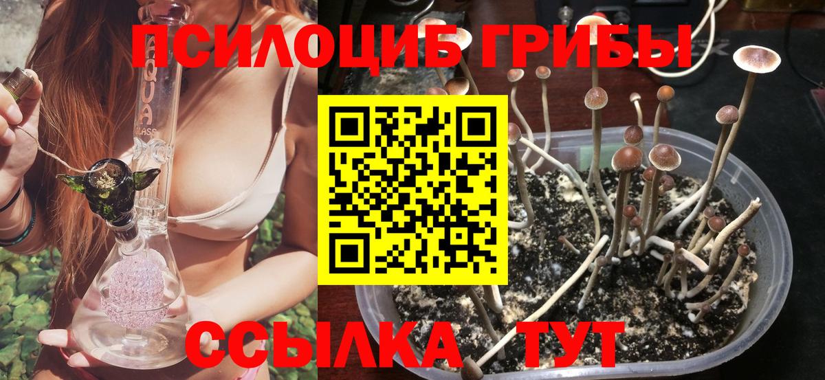 Галлюциногенные грибы прущие грибы Россошь