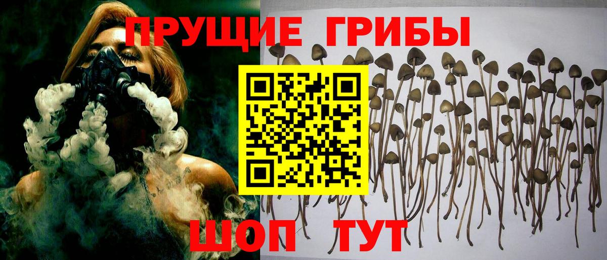 Россошь  где купить наркотик  Псилоцибиновые грибы мицелий  Вход с VPN  Галлюциногенные грибы Cubensis 